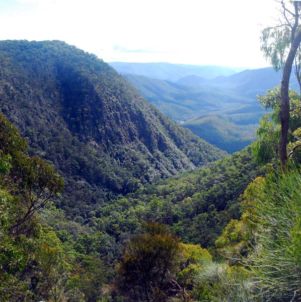 Chaelundi Lookout panorama.jpg