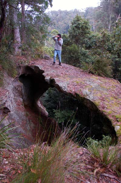 Watagans - The Arch (7).jpg