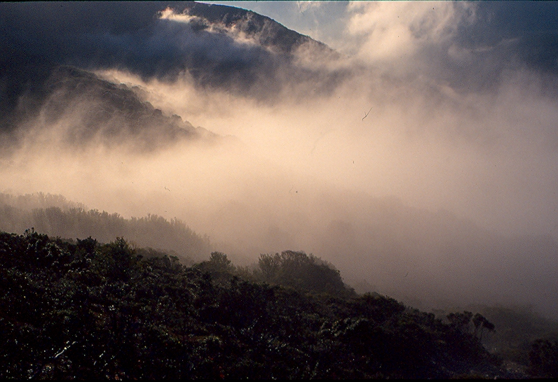 9144 Mist in valleys.jpg