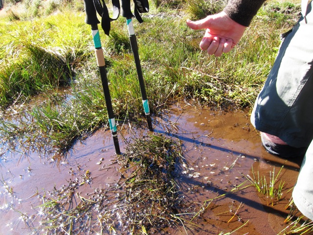 3 Plenty of mud in the Rees Valley.JPG