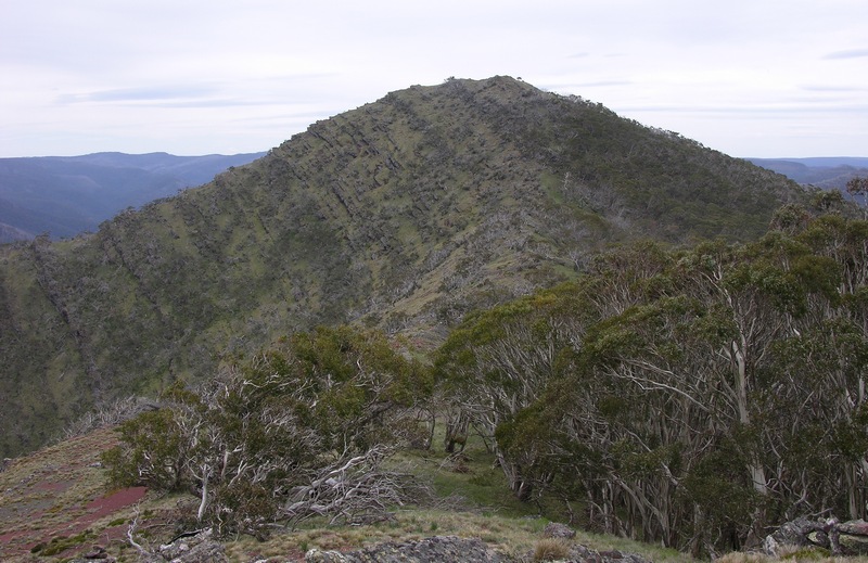 Mt MacDonald 1.JPG