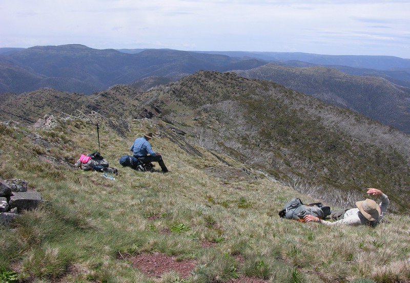 Mt MacDonald 2.JPG