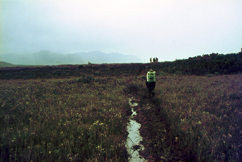 LakePedder 1971_0003.jpg