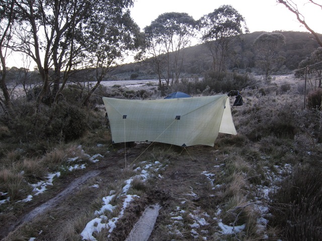 Edwards Swamp Track, Barrington Tops NP.JPG