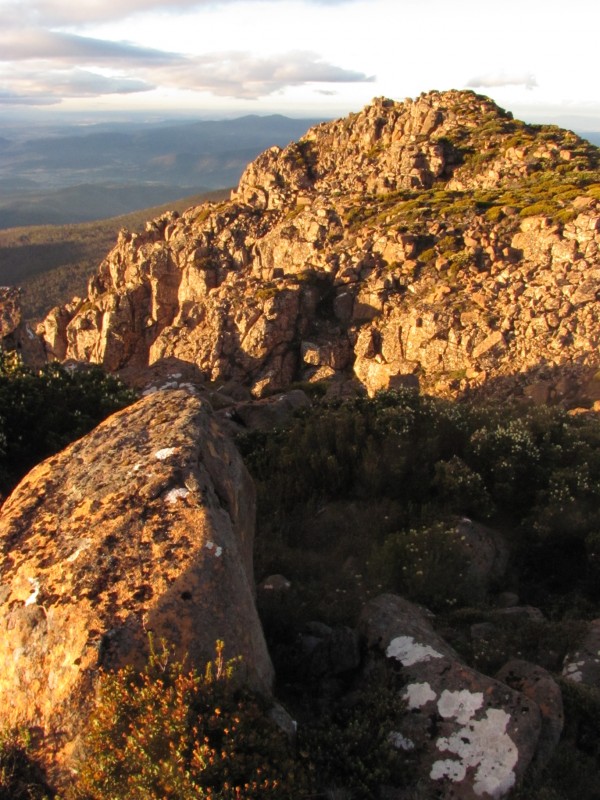 aCollins Bonnet Dec 2012 015.jpg