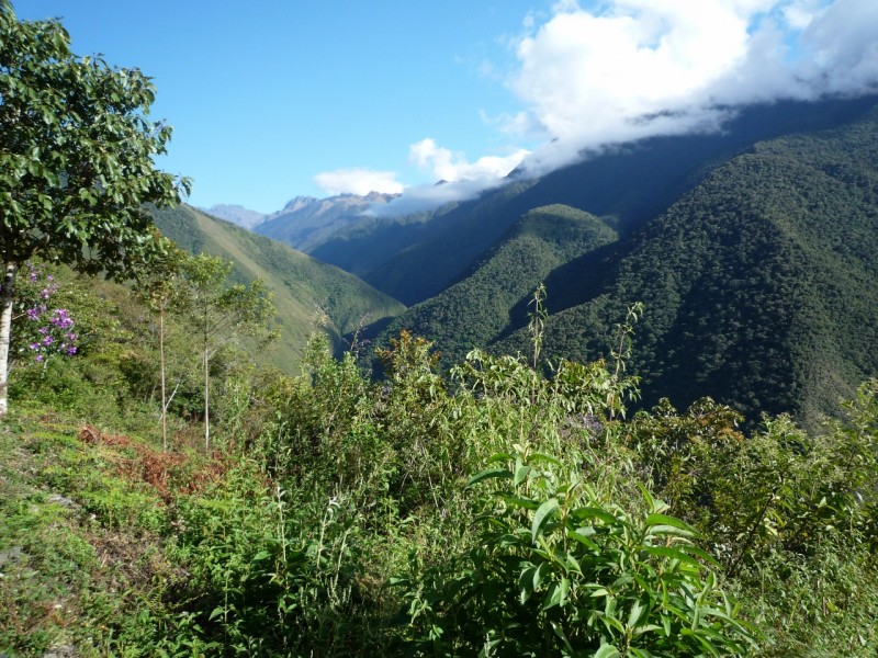 77 view from Casa Sandillani (1280x960).jpg