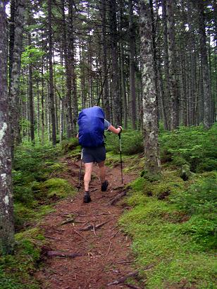 06-29 Trail near Bates Ledges.jpg