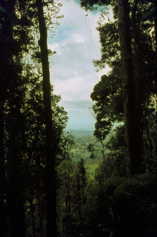 Bushrangers Cave_06.jpg