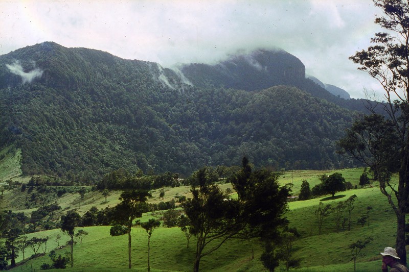 Bushrangers Cave_11.jpg