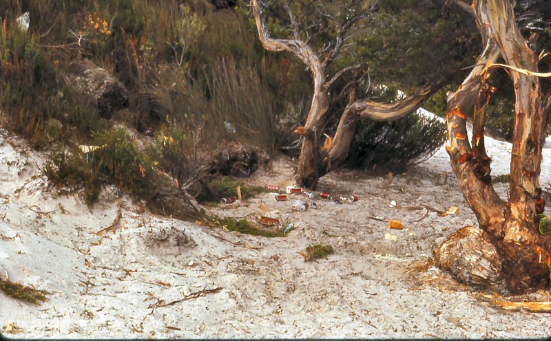 Lake Pedder_012.jpg