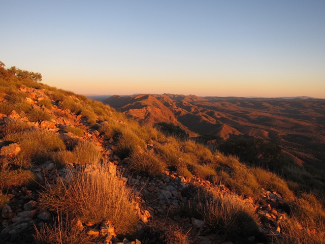 Sunrise on Brinkley Bluff.JPG