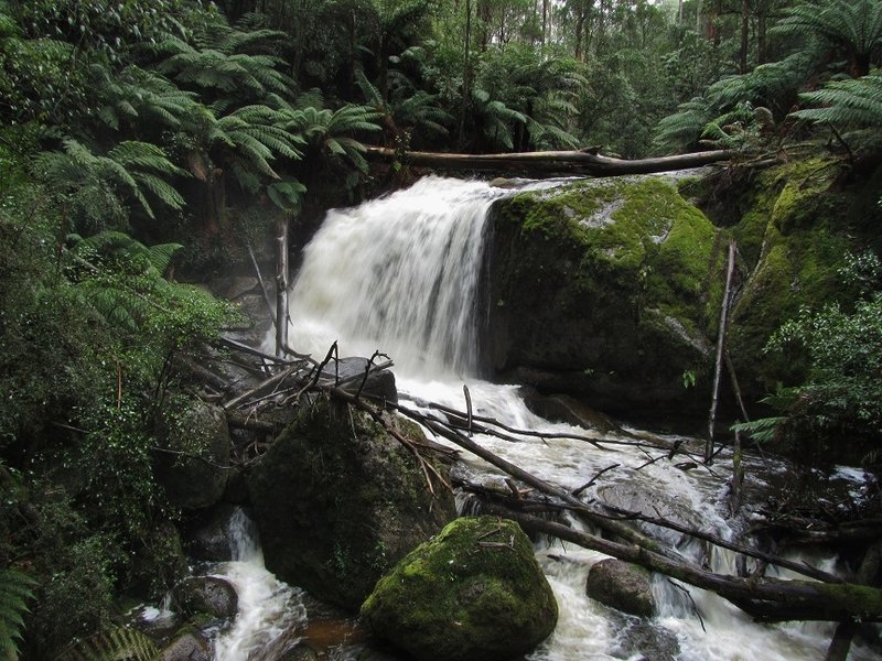 Amphitheatre Falls (Baw Baw Shire).jpg