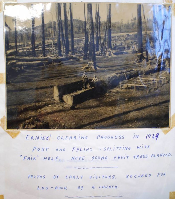 Clearing for Gordonvale 1939.jpg