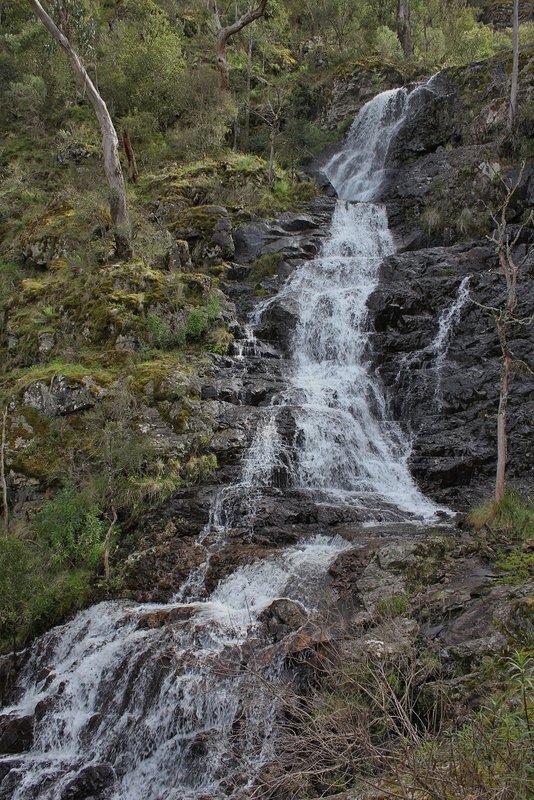 Wild Dog Creek Falls 3rd Drop.jpg