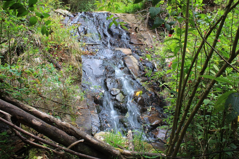 Griffiths Falls.jpg