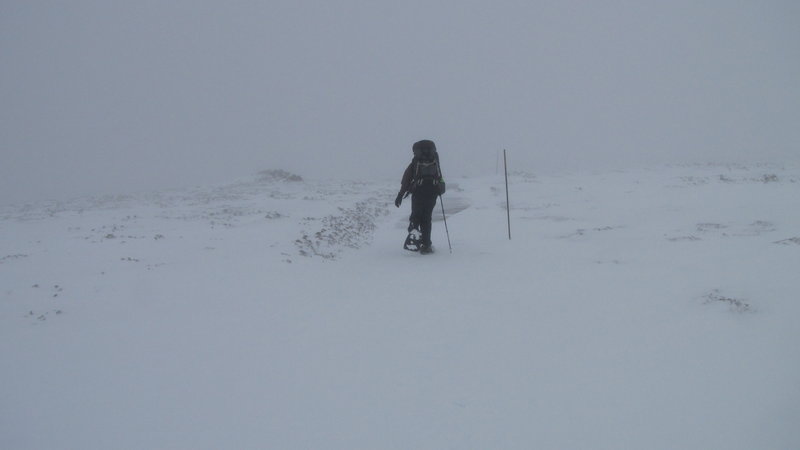 Overland Track-08-09 100.jpg