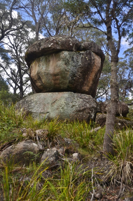 Cathedral Rocks (1) (424x640).jpg