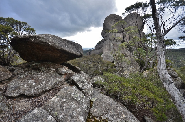 Cathedral Rocks (79) (640x424).jpg