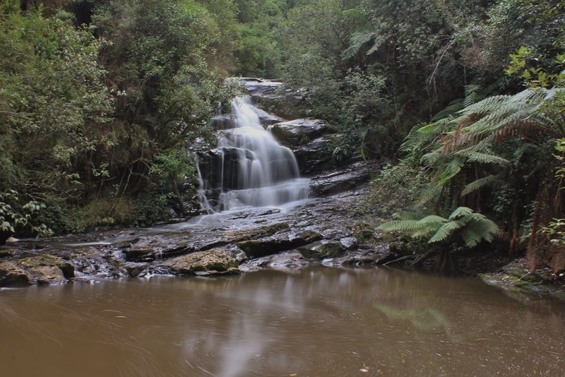 Albert River Falls (1st Drop).jpg