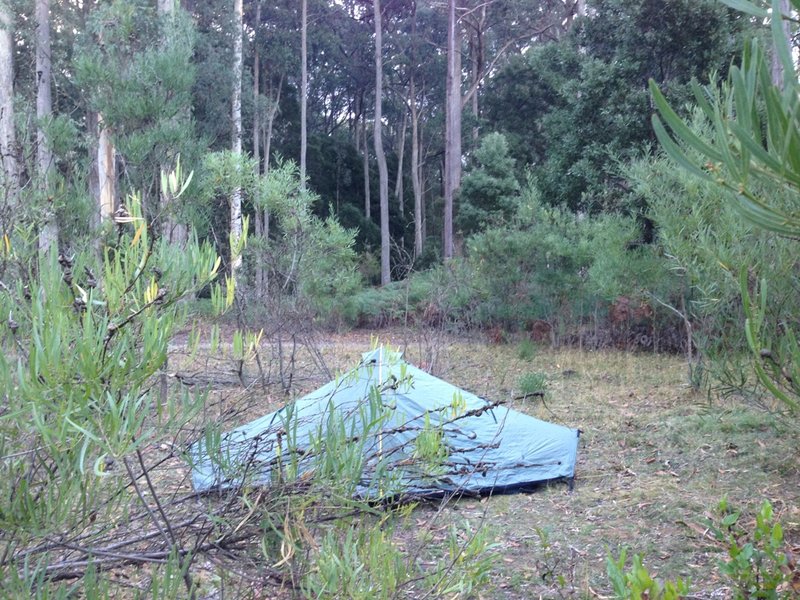 Wombat State Forest Camp.jpg