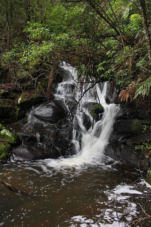 Upper Chapple Falls 2nd Drop.jpg