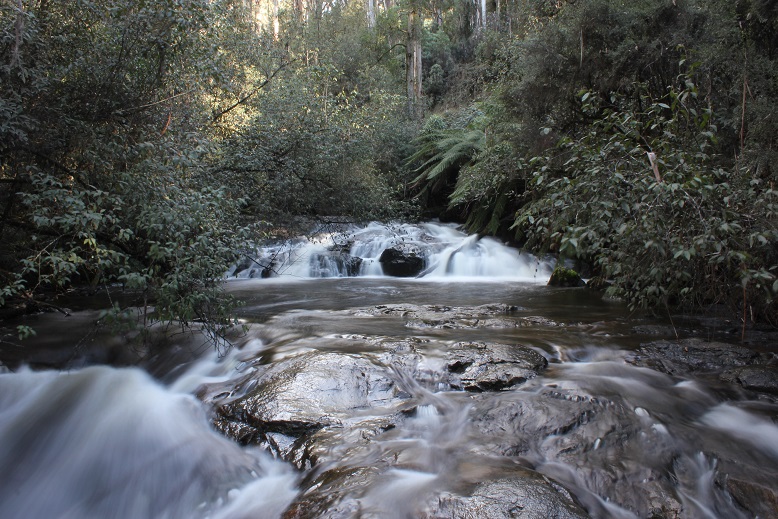 Snobs Creek Cascades.jpg