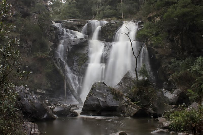 Stevensons Falls  (Otways).jpg