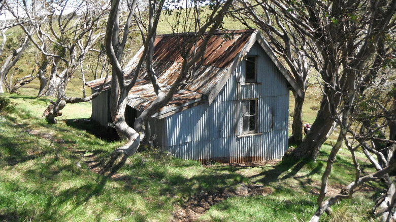 Cope Hut.jpg