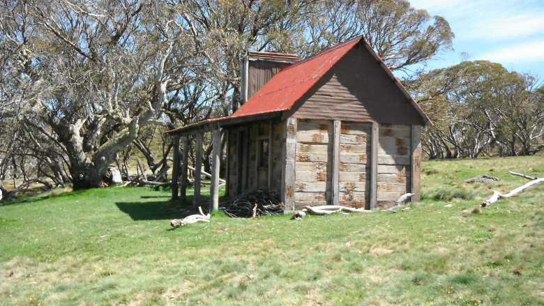 Fitzgerald's Hut.jpg