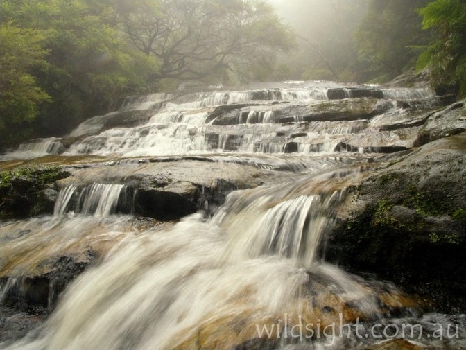 Leura cascades.jpg