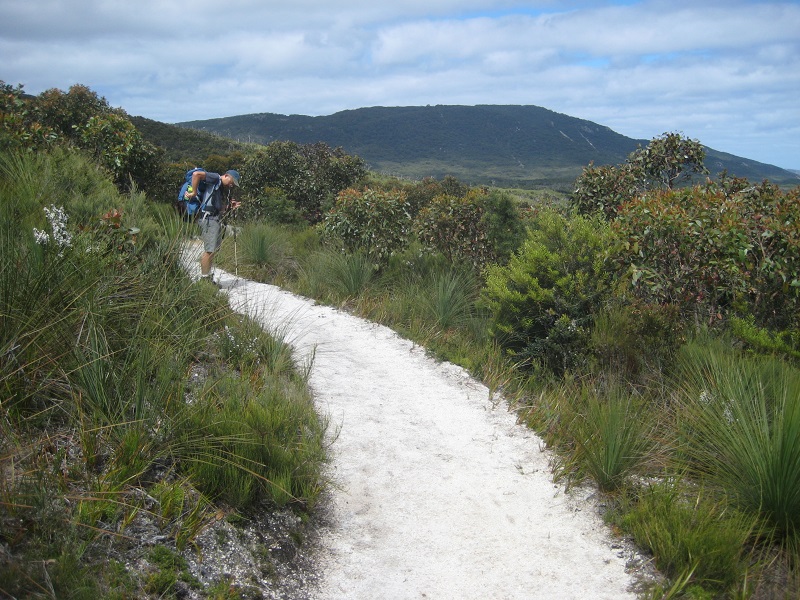 Waterloo Bay Walking Track.JPG