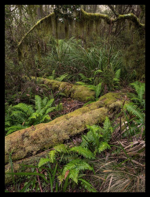 01 - Styx River headwaters.jpg