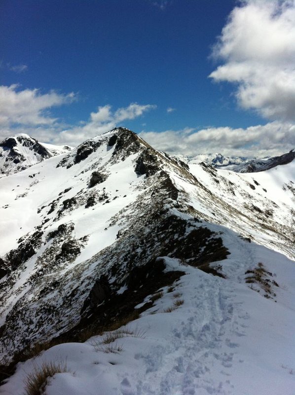 Across the tops, Kepler Track 18 November 2011.jpg