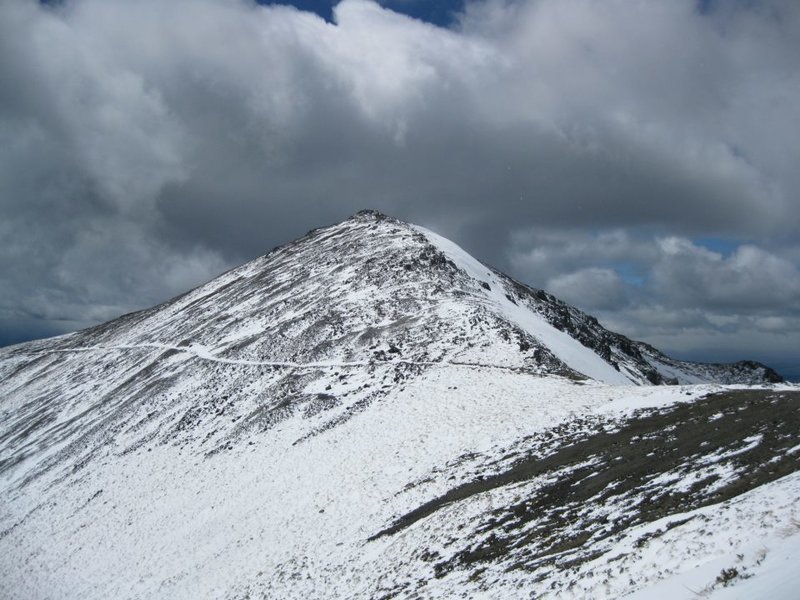 Across the tops (2), Kepler Track 18 November 2011.jpg