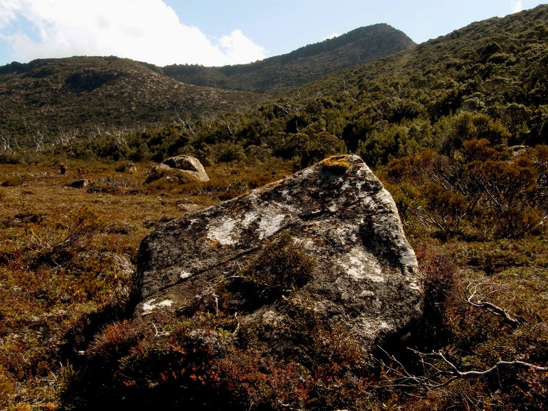 Plateau Below Mt Weld.JPG