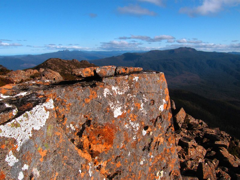 Picton From The Weld Ridge.JPG