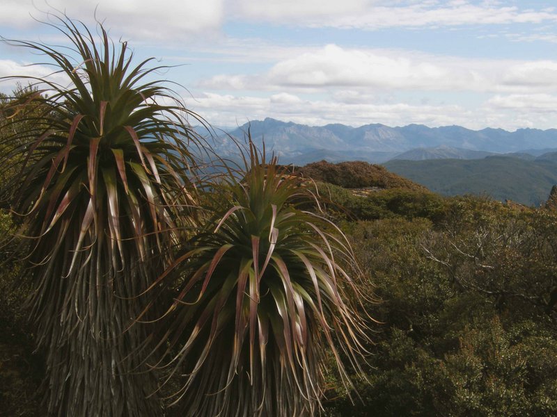 The Arthurs And Pandani On The Ridge.JPG