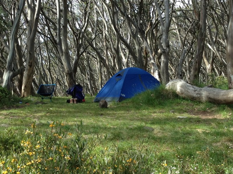 Campsite Mac Springs Newyears eve 2015.jpeg