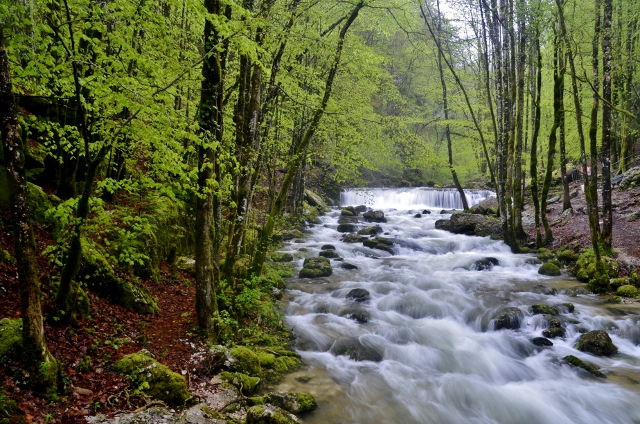 France 2013 - days 22,23,24 Cascades du Herisson 182 (640x424).jpg