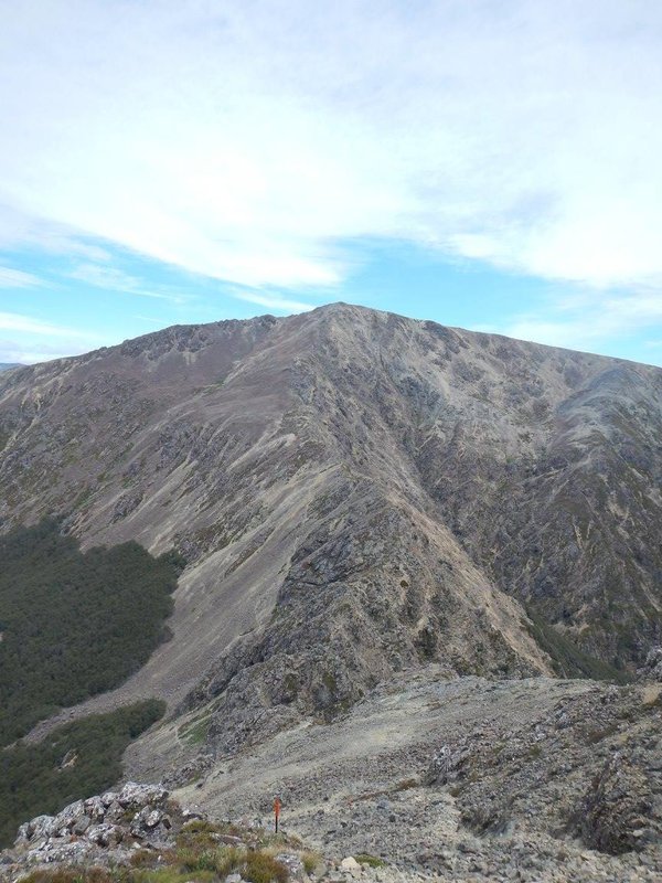 Mt Rintoul 4.jpg