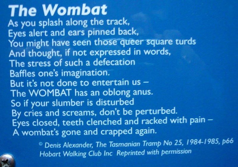 WOMBAT.jpg