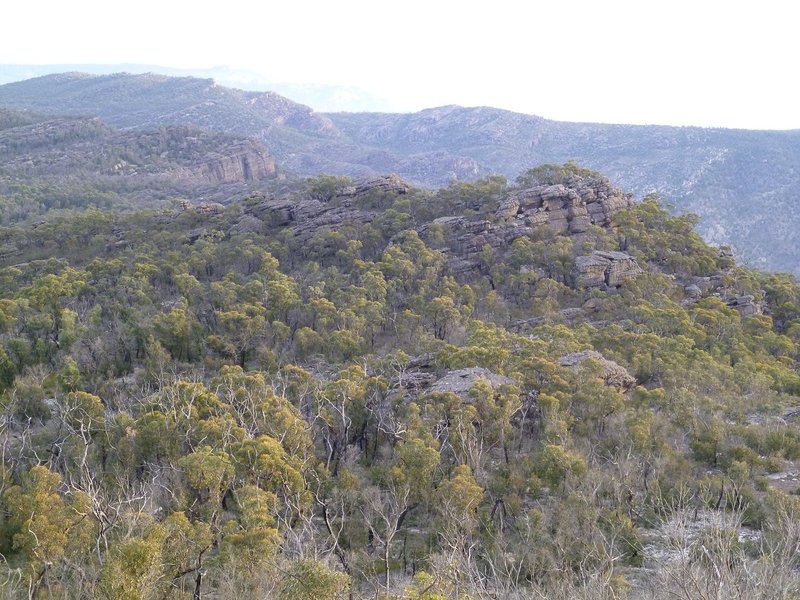 Point 705 in foreground and Wallaby Rocks behind to the left..jpg