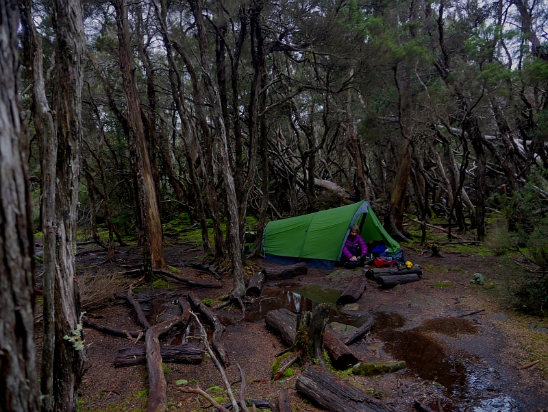 CAMPING JUST SOUTH OF THE LOOKOUT.REV 1 EMAIL. P1040585_86_87_88_89_90_tonemapped.jpg