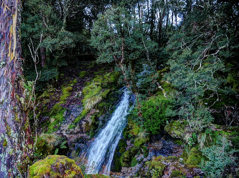 NEAR OLD WATERFALL VALLEY HUT. REV 1 EMAIL.  P1040855_6_7_8_9_fused.jpg