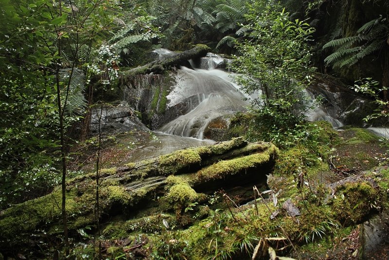 Splitters Falls  2nd drop (Yarra Valley).jpg