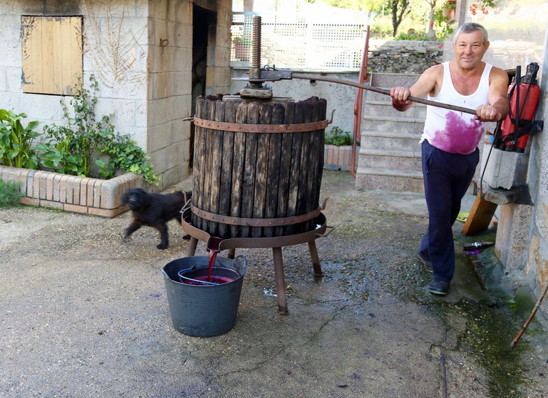 Wine press.jpg