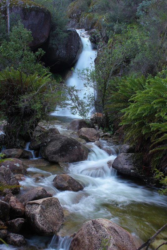 Ladies Bath Falls.jpg