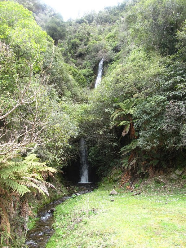 Totarapapa Falls.jpg