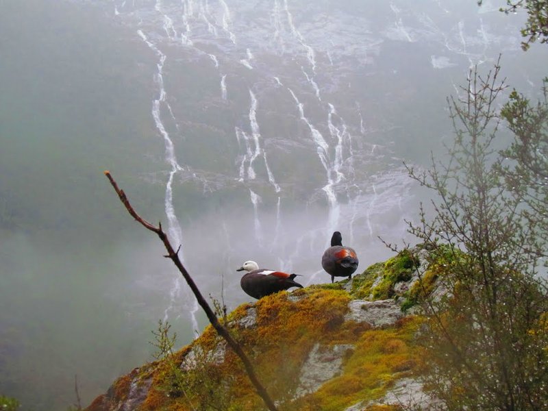 Unnamed waterfall, Clinton Valley.jpg