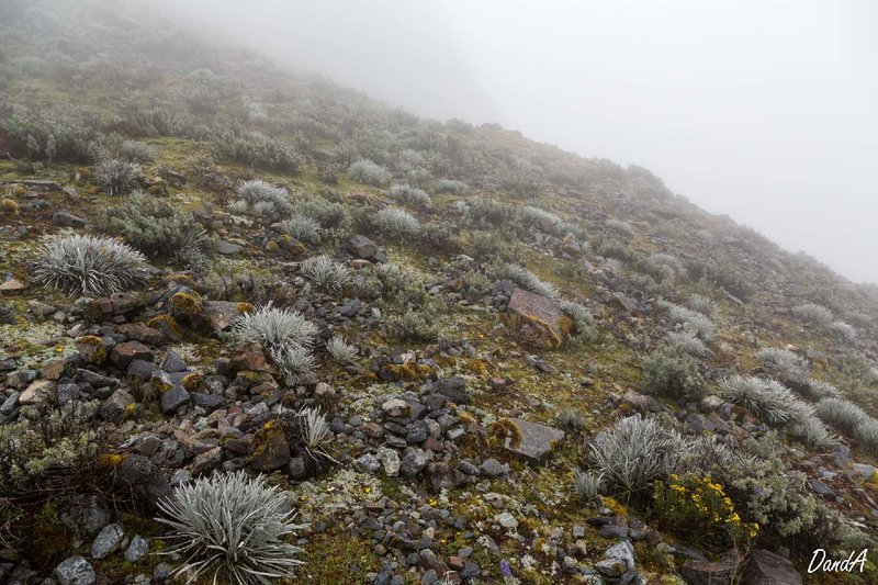 Peru_2017-091.jpg